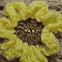 Flowers colors and meanings Mood blanket flowers colors and meanings in gif for blog